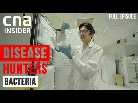 Battle Against Bacteria: A Race Against The &#039;Superbug&#039; | Disease Hunters | Part 2/3