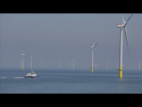 Wind-energy projects hit roadblock with Trump executive order